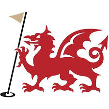 Image result for Borth & Ynyslas Golf Club