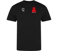 Image result for Paignton Cc