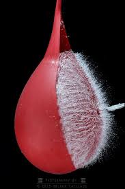 Image result for water balloon burst