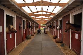 Image result for Old Park Riding Stables