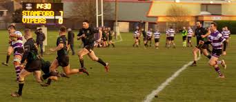 Image result for Vipers Rugby Football Club
