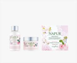 「ナジマ・ゲブール」の画像検索結果