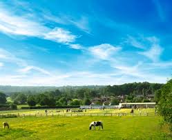 Image result for Whittle and Clayton Cricket Club