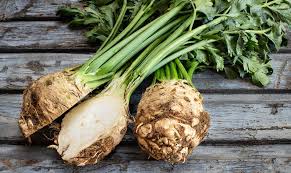 Image result for Sellerie