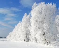 Image result for мороз