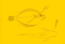 Image result for Limanda limanda