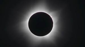 Attēlu rezultāti vaicājumam “pollen corona”