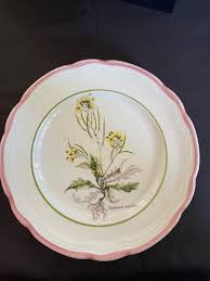 Attēlu rezultāti vaicājumam “Diplotaxis muralis flower”