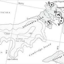Attēlu rezultāti vaicājumam “Trilophozia quinquedentata”