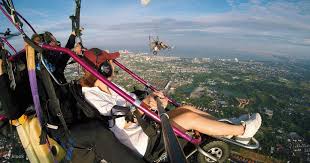 Image result for The Nayland Flying Club