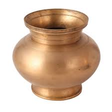 Image result for Lota lota