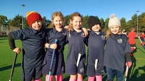 Image result for Harleston Magpies Hockey Club