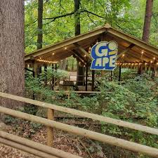 Image result for Go Ape! Thetford