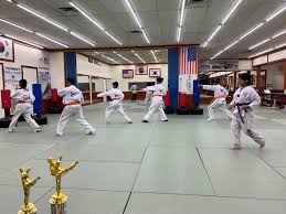 Image result for Martial Arts New Jersey