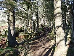 Image result for Torphins Bowling Club