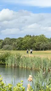 Image result for Sutton Green Golf Club