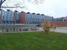 Image result for University Of Sussex