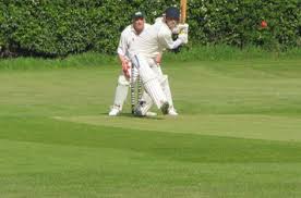 Image result for Odiham & Greywell Cricket Club