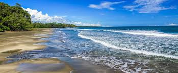 Image result for cahuita costa rica