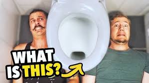 Image result for german toilet