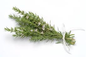 Image result for Satureja hortensis