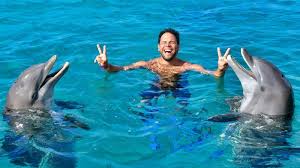 Afbeeldingsresultaat voor dolfijnen