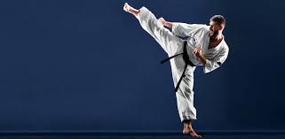 Image result for Shotokan Karate