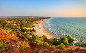 Image result for goa beaches