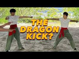 Image result for Kicking Dragon Kung Fu School, Belfast