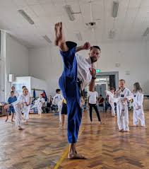 Image result for Haxby karate club