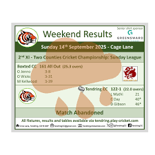 Image result for Tendring Cricket Club
