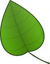 Leaf clip art   Download free Other vectors