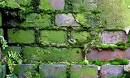 36 Collections of Free Wall Brick Textures