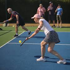 Image result for 1st New Forest Pickleball Club