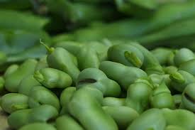 Image result for Dicke Bohnen