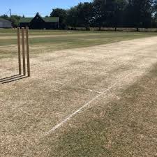 Image result for Worlingworth Cricket Club