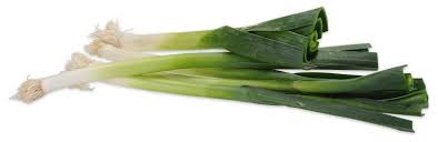 Image result for Porree