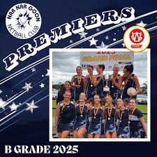 Image result for Meon Netball Club