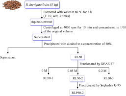 Attēlu rezultāti vaicājumam “Xylita laevigata”