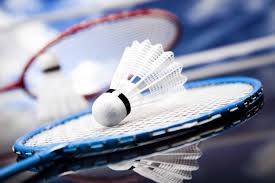 Image result for Reigate Badminton Club