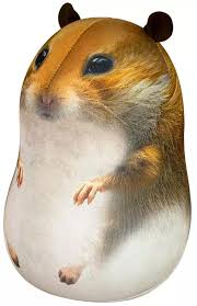 Image result for хомяк