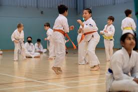 Image result for Woodley Karate Club