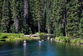 Image result for Leek Park B C