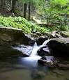 Mindfulness Based Stress Reduction