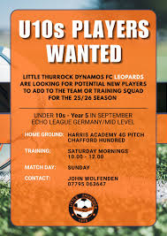 Image result for Rayleigh boys under 7's Leopards- need a Goalie!