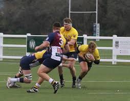 Image result for Oxford Harlequins R F C