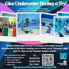 Image result for Dublin Underwater Hockey Team