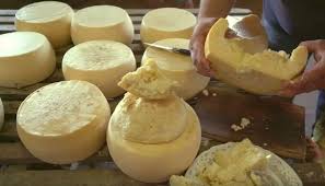 Image result for pálpusztai