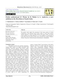 Attēlu rezultāti vaicājumam “Pohlia wahlenbergii sporophyte”