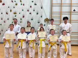 Image result for Ynys Mon Shukokai Karate Club, North Wales